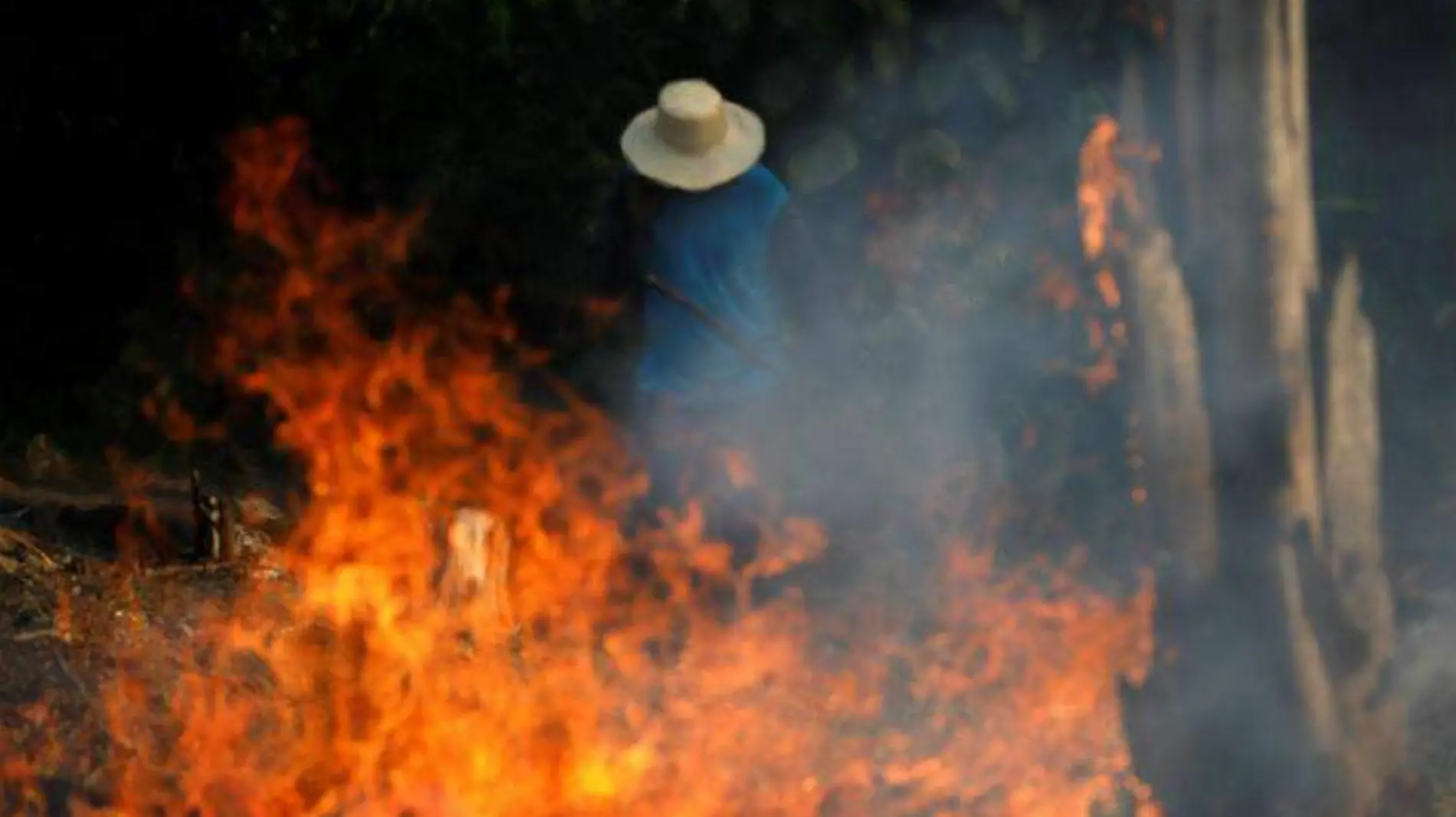 amazonas REUTERS